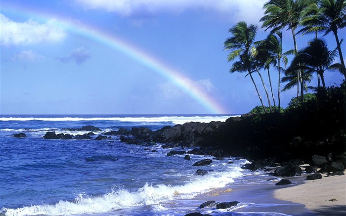 彩虹，藍色的海，海岸，棕櫚樹，夏威夷，美國 桌布 圖片
