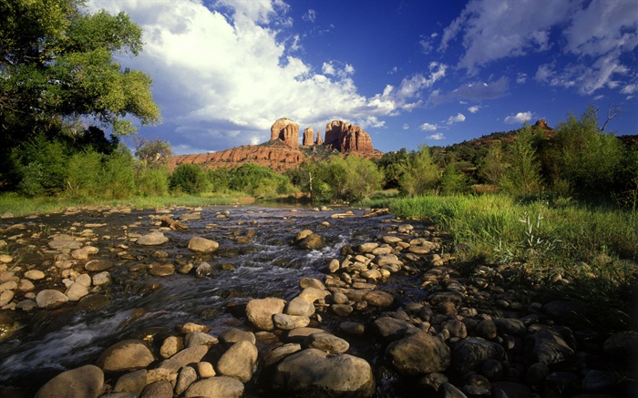紅岩路口，石頭，河流，草，塞多納，美國亞利桑那州 桌布 圖片