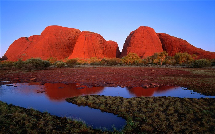 紅岩山，水，草，黃昏，澳大利亞 桌布 圖片