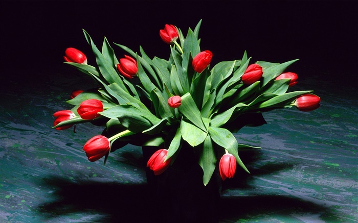 紅色的鬱金香花，花束，花瓶 桌布 圖片