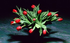 紅色的鬱金香花，花束，花瓶 高清桌布