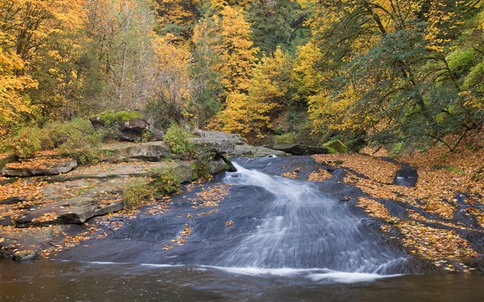 河，樹木，秋天 桌布 圖片