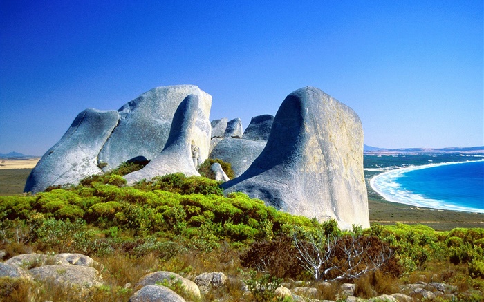 岩石，草，海岸，碧海，澳大利亞 桌布 圖片