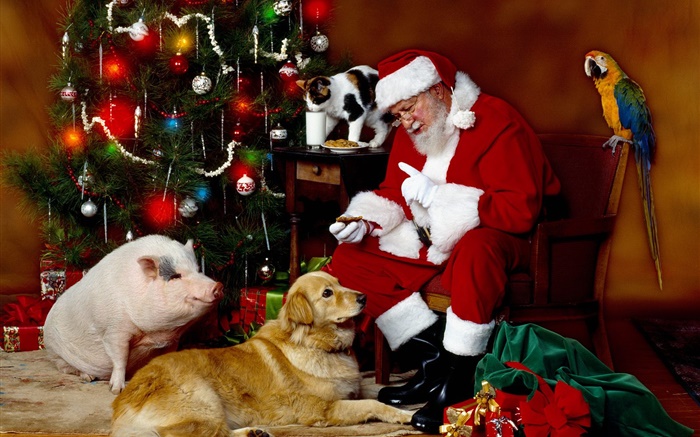 聖誕老人和動物，聖誕燈飾 桌布 圖片