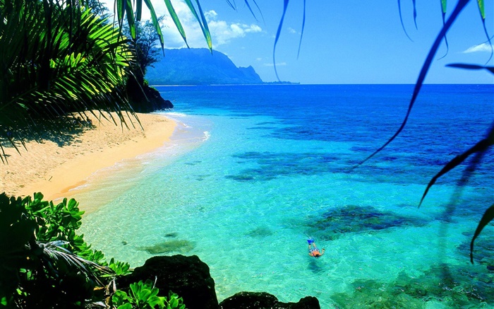 大海，清澈的海水，海岸，游泳，夏威夷，美國 桌布 圖片