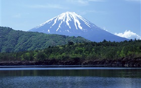 海洋，森林，富士山，日本 高清桌布
