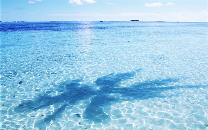 海，水藍色，眩光，波浪，陰影，馬爾代夫 桌布 圖片