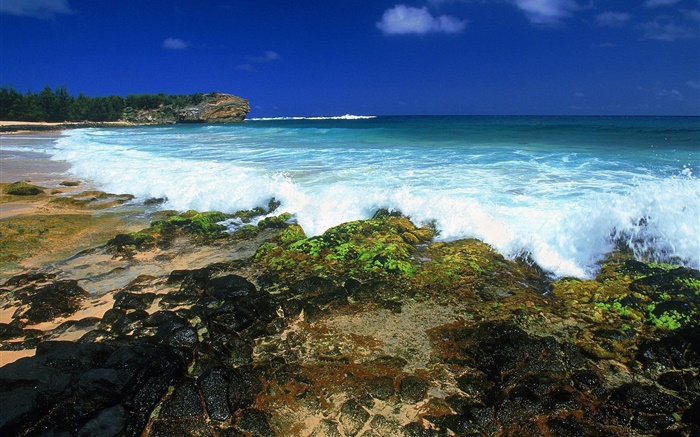 海浪，海岸，黃昏，夏威夷，美國 桌布 圖片