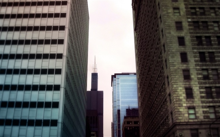 摩天大樓，城市區域視圖 桌布 圖片