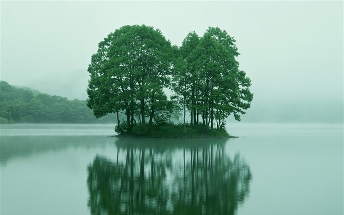 小島嶼在湖中心，綠樹成蔭，東京，日本 桌布 圖片