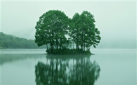 小島嶼在湖中心，綠樹成蔭，東京，日本