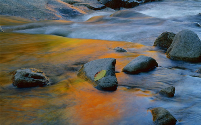 石頭，小溪，水 桌布 圖片