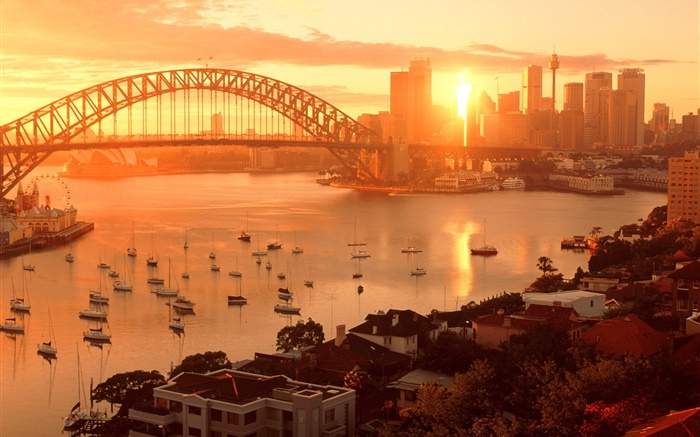 澳大利亞悉尼市的日落，橋樑，河流，建築物，溫暖的陽光 桌布 圖片
