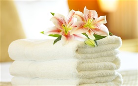 毛巾，蘭花，靜物特寫 高清桌布