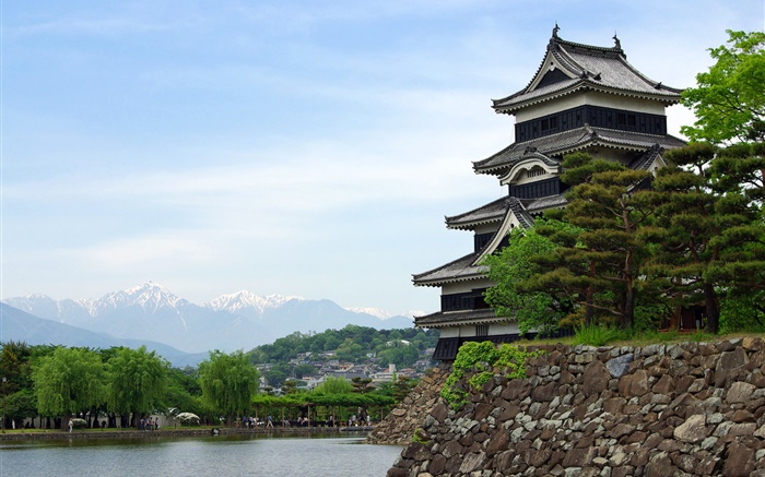 前往日本東京，公園，湖泊，寺廟 桌布 圖片