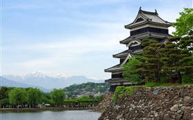 前往日本東京，公園，湖泊，寺廟 高清桌布