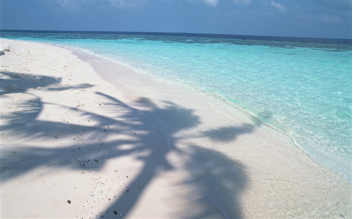 樹的影子，馬爾代夫，沙灘，大海，海浪 桌布 圖片