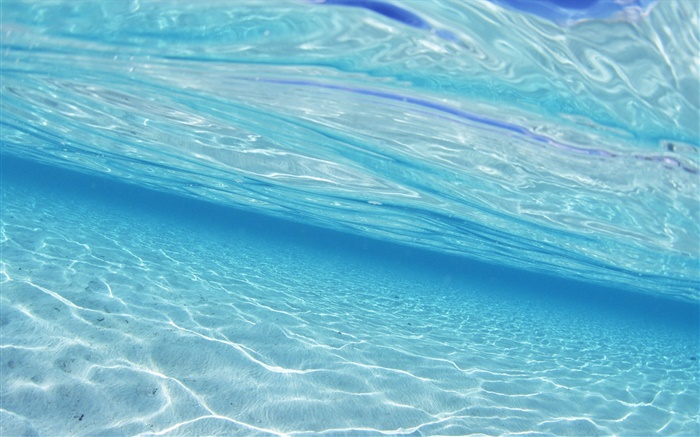 水下看海，馬爾代夫 桌布 圖片