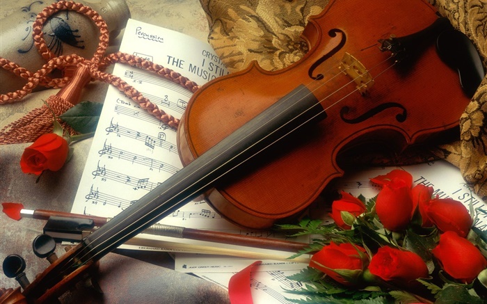 小提琴，紅玫瑰，音樂 桌布 圖片