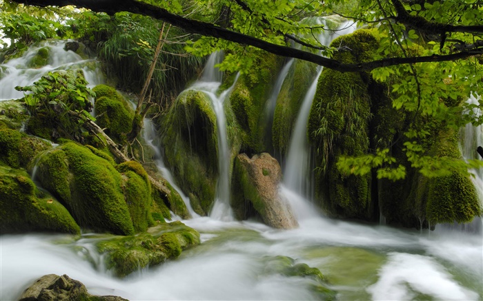 瀑布，小溪，石頭，樹枝，樹葉 桌布 圖片