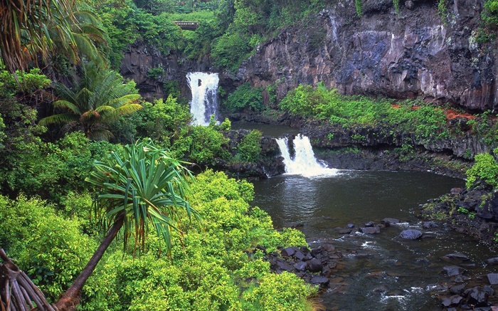 瀑布，小溪，水，岩石，植物，夏威夷，美國 桌布 圖片