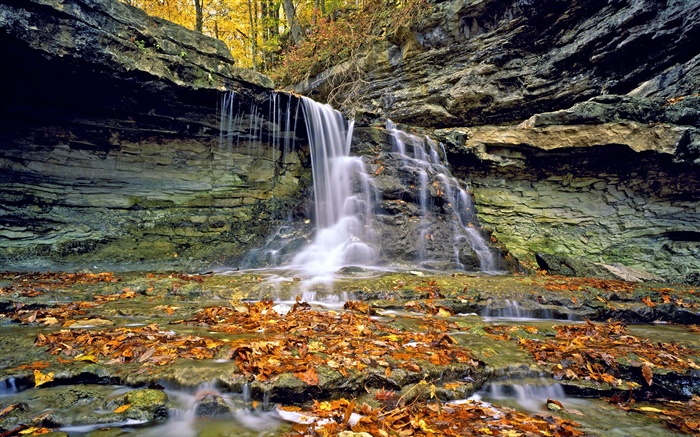 瀑布，岩石，紅葉，秋 桌布 圖片