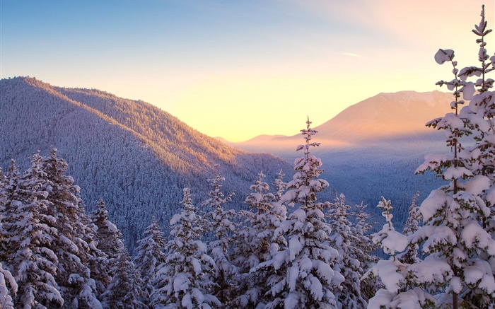 冬季，山，雪，樹木，日落 桌布 圖片