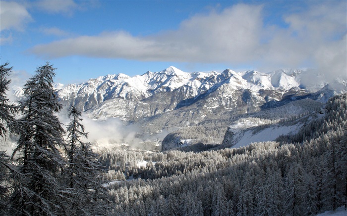 冬季，山，樹，雪，自然風光 桌布 圖片