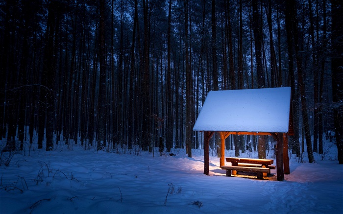 冬季，樹木，涼亭，雪，夜晚，光 桌布 圖片