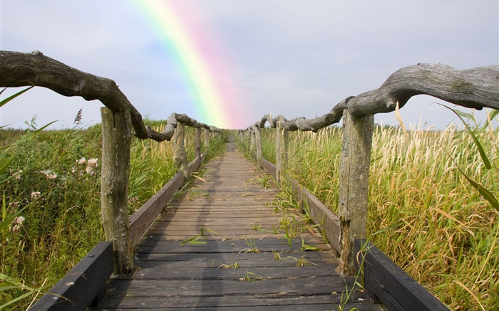 木步道，護欄，草，彩虹，夏天 桌布 圖片