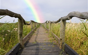 木步道，護欄，草，彩虹，夏天