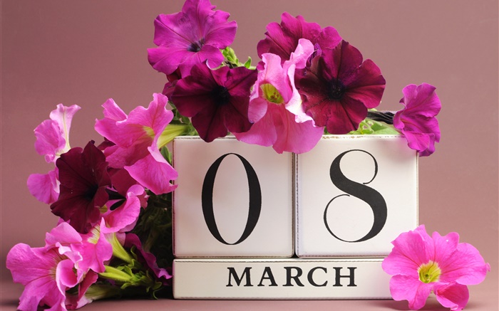 3月8日，婦女節，粉紅色的矮牽牛花，日期 桌布 圖片