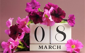 3月8日，婦女節，粉紅色的矮牽牛花，日期 高清桌布