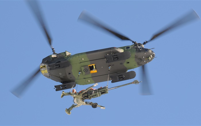 CH-147奇努克，軍用運輸直升機 桌布 圖片