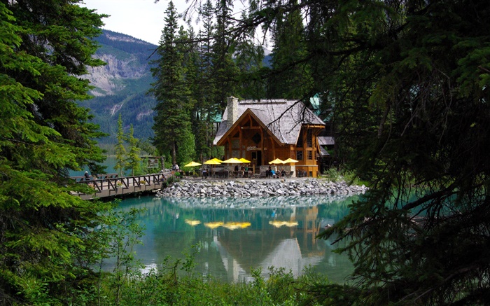 加拿大，翡翠湖，優鶴國家公園，森林，湖泊，房子 桌布 圖片
