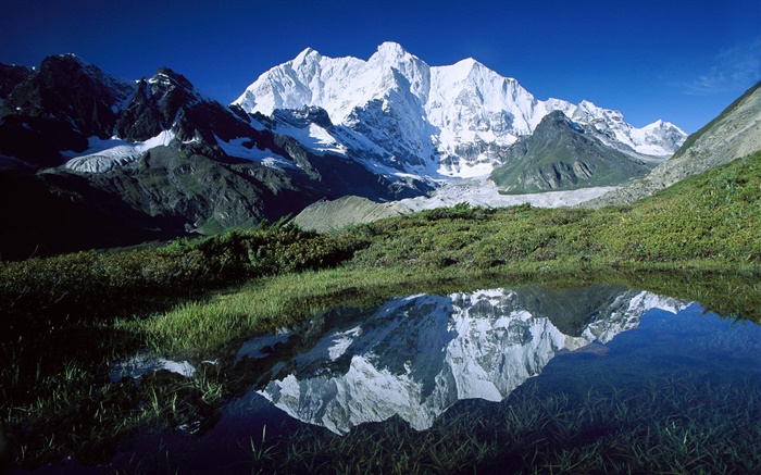 珠穆隆索峰，高山，草地，池塘，冰川，西藏 桌布 圖片