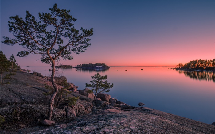 芬蘭，芬蘭灣，海，島，日落，樹木，石頭 桌布 圖片