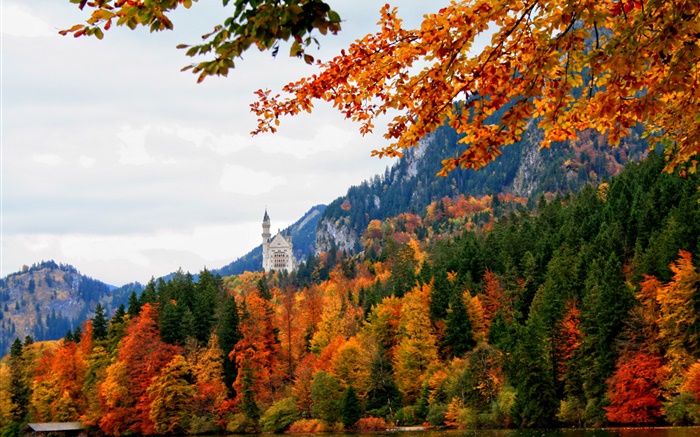 德國，巴伐利亞，施萬高城堡，樹木，河流，秋季 桌布 圖片