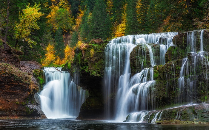 劉易斯河下游瀑布，華盛頓，美國，瀑布，秋天，樹木 桌布 圖片