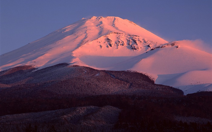 富士山，日本，雪，黃昏，森林 桌布 圖片