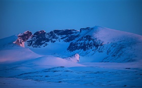山，冬季，雪，藍色風格，黃昏