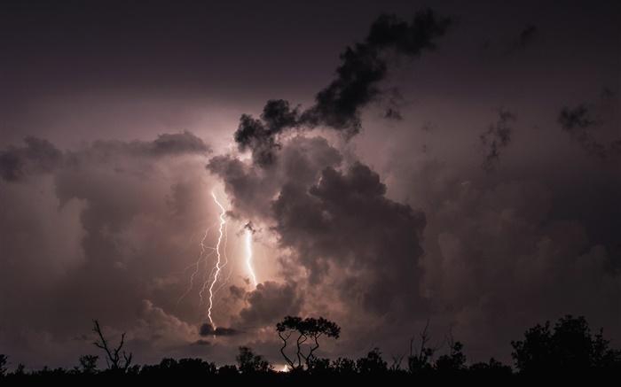 晚上，雲，風暴，雷電，樹木，人影 桌布 圖片
