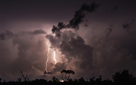 晚上，雲，風暴，雷電，樹木，人影 高清桌布
