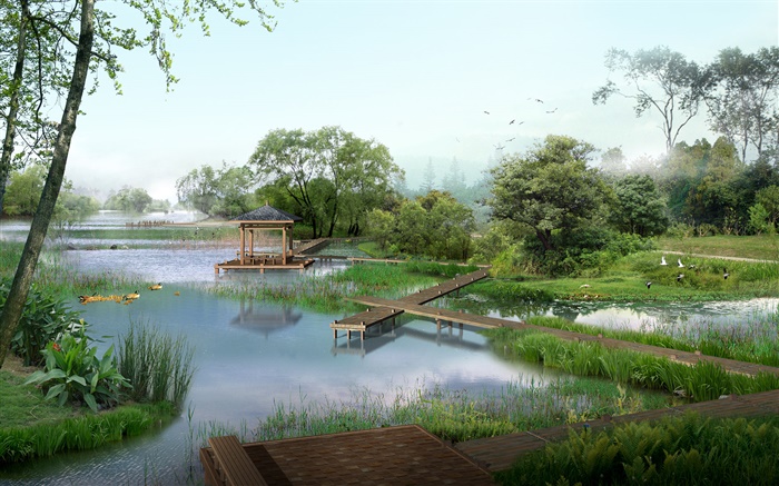 公園景觀湖，鴨，樹，亭，草，鳥，3D渲染的圖片 桌布 圖片
