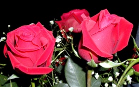 紅玫瑰鮮花，花束 高清桌布