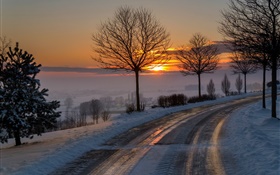 冬季，上午，黎明，道路，樹木，雪，日出 高清桌布