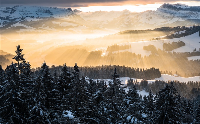 冬季，山，早晨，太陽光線，樹木，雪 桌布 圖片