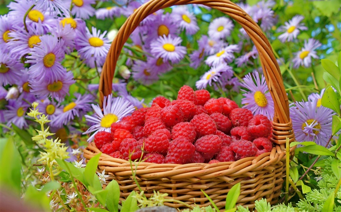 一籃子紅樹莓，花卉紫苑 桌布 圖片