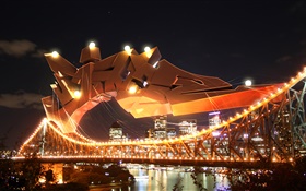 城市夜景橋，燈，河