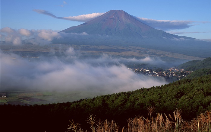 富士山，日本，鎮，林，草，霧，雲 桌布 圖片